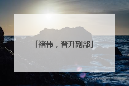 褚伟，晋升副部